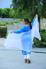 Plain Chiffon Dupatta