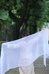 Mukesh Chiffon Dupatta With Lace
